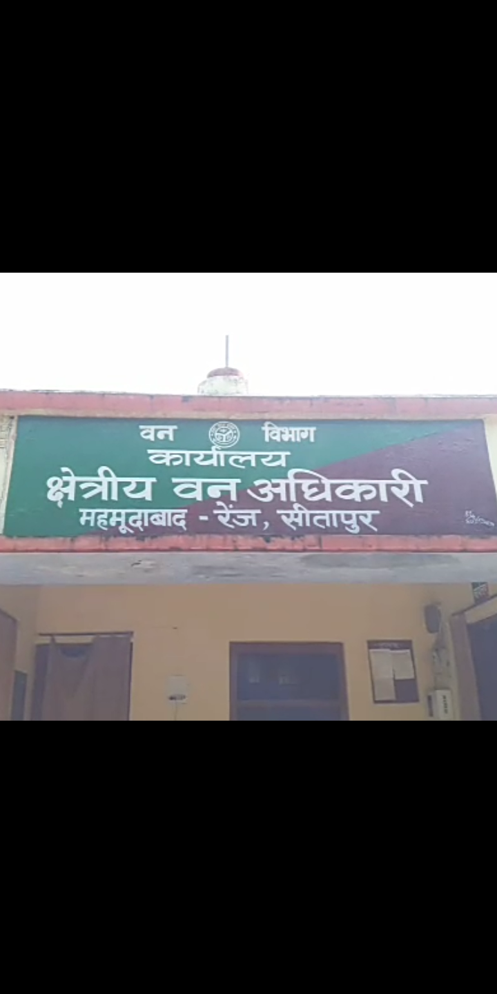 रामपुर कला थाना क्षेत्र के सैर गांव के पास शीशम के 10  पेड़ो पर लकड़ कट्टों ने चलाया आरा ,जांच में जुटी वन भिभाग टीम।