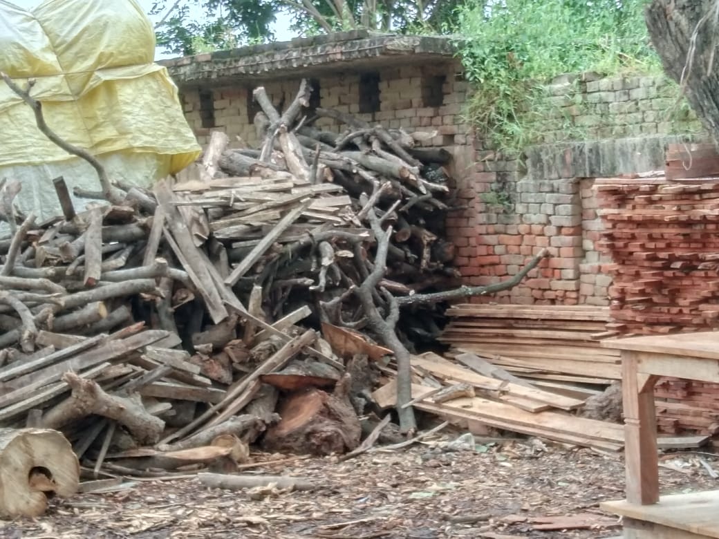 हरियाली पर ग्रहण लगा रही है बिहार क्षेत्र में चल रही अवैध आरा मशीन