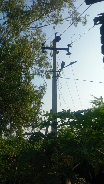 स्ट्रीट लाइट की शिकायतें बेअसर, निजी प्लॉटिंग में तुरंत रोशन हो रहे खंभे
