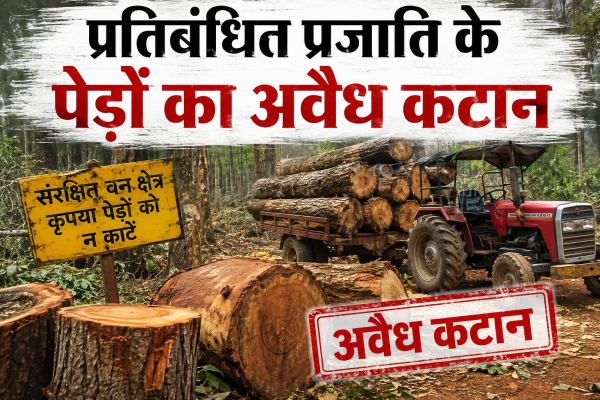 प्रतिबंधित प्रजाति के पेड़ों का अवैध कटान, तीन के खिलाफ मुकदमा