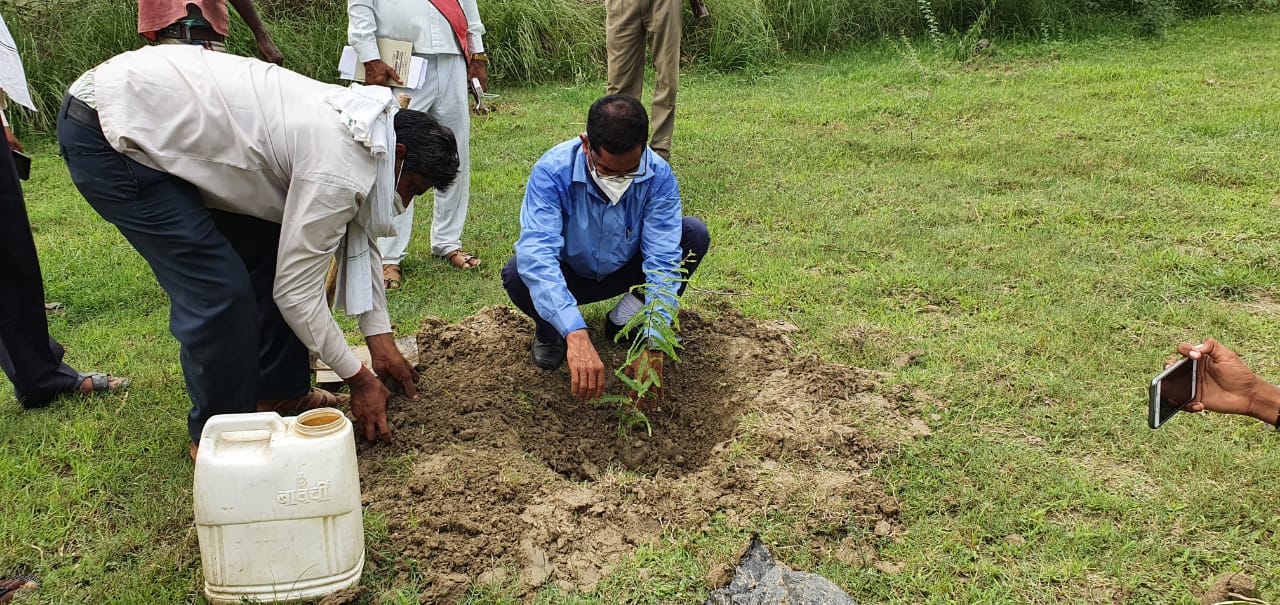एस पी ने किया वृक्षारोपण अभियान का आगाज, खागा उपजिलाधिकारी ने काही गाँव मे रोपित किये ग्यारह पौधे