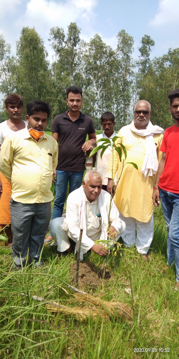 *ब्रह्मदेव जागरण मंच ब्लाक कुण्डा संगठन ने किया वृक्षारोपण*