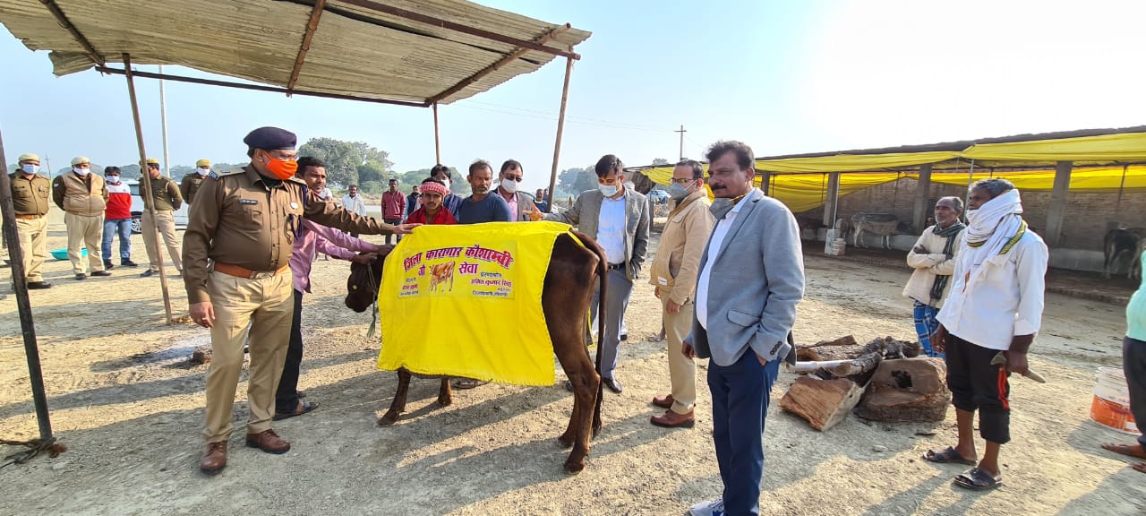 डीएम और एसपी ने गौसंरक्षण केन्द्र बंधवा रजबर का किया औचक निरीक्षण