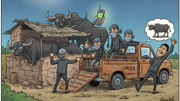 तबेले की दीवार फांदकर तीन भैंसें और मोबाइल चोरी, आरोपी नामजद