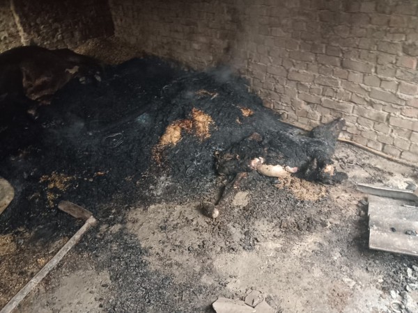 पशुबाड़ा में लगी आग तीन पशुओं की जलकर मौत