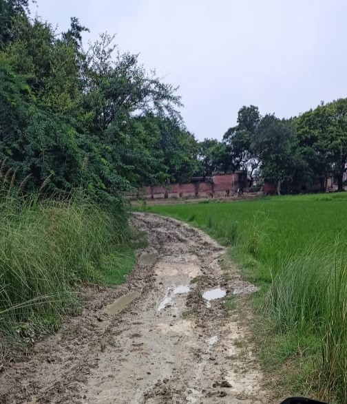 एक पक्के मार्ग की बात जो हो रहे हैं ग्रामीण