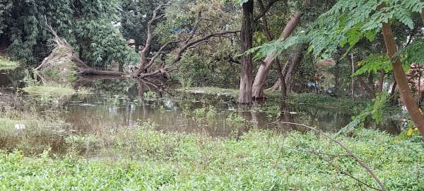 नाला पाट लेने से गांव में हुआ जलभराव, अधिकारी कर रहे हैं अनदेखी