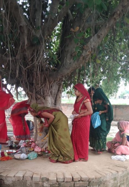 कौशाम्बेश्वर संकट मोचन आश्रम में महिलाओं ने की वट बृक्ष की पूजा