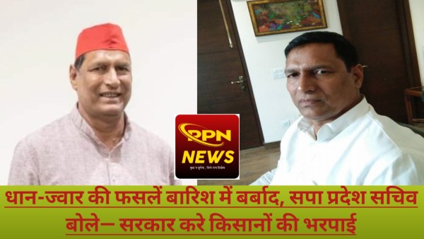 बेमौसम बारिश ने किसानों की मेहनत पर फेरा पानी, सपा नेता नरेंद्र सिंह ने की शासन से मुआवजे की मांग