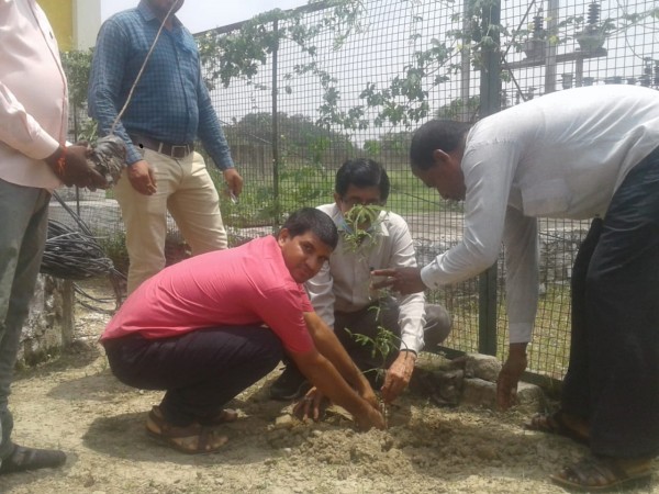 निगोहां विधुत उपकेन्द्र मे उपखंड अधिकारी व अवर अभियंता द्वारा लगाये गये पौधे