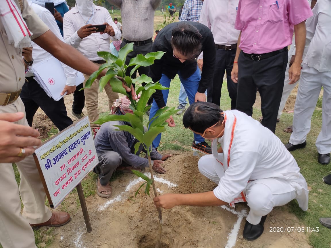 वृहद वृक्षारोपण कार्यक्रम के अंतर्गत आनंद स्वरूप शुक्ला, राज्यमंत्री द्वारा किया गया वृक्षारोपण।