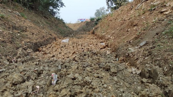 नहर सूखी, बर्बाद हो रही गेहूं की फसल